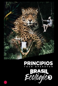 H3. BRASIL ECOLOGICO